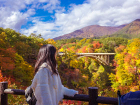 Autumn in Tohoku - Naruko Gorge