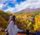 Autumn in Tohoku - Naruko Gorge