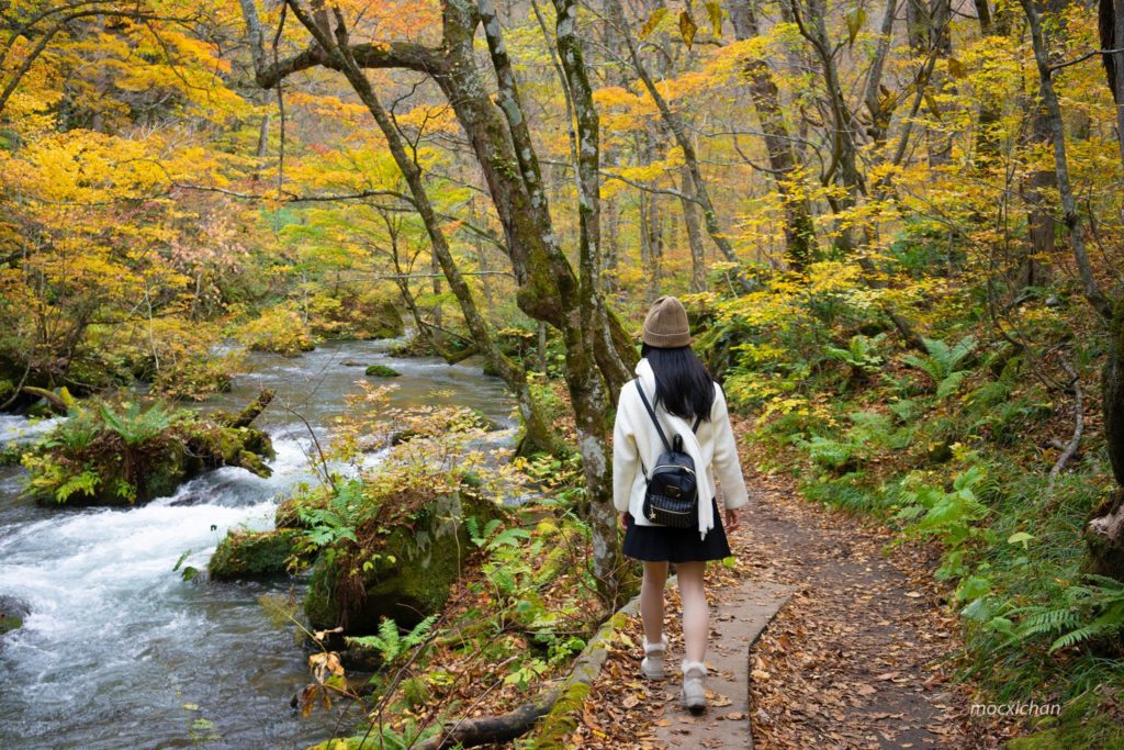 Autumn in Oirase stream