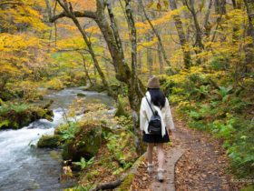 Autumn-in-Oirase-stream