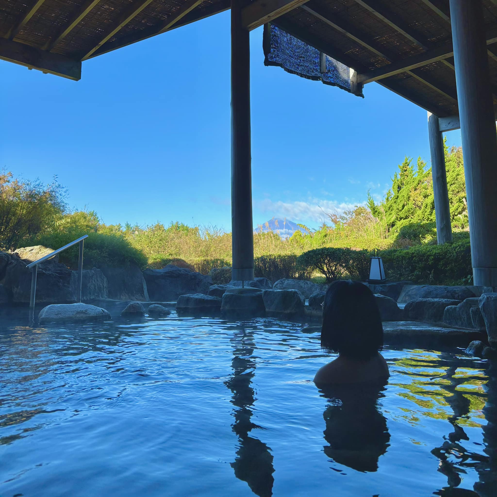 Hotel Green Plaza Hakone onsen